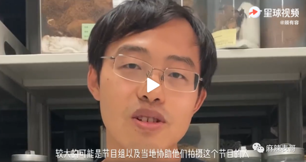 极限挑战|做错事后装怂又甩锅，你们这算是什么呢？