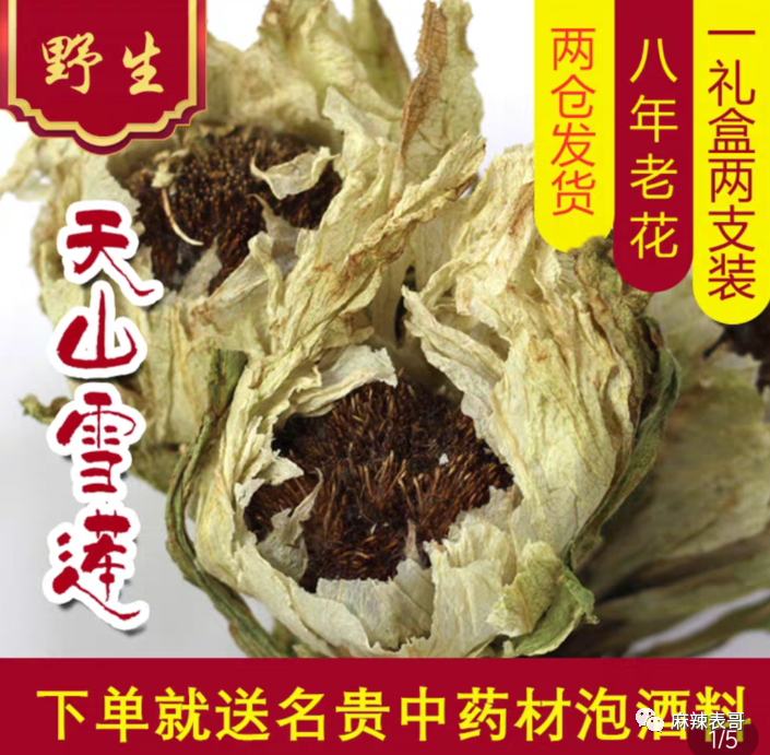 极限挑战|做错事后装怂又甩锅，你们这算是什么呢？