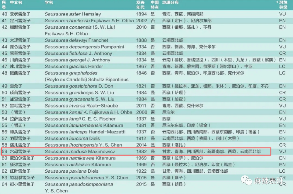极限挑战|做错事后装怂又甩锅，你们这算是什么呢？