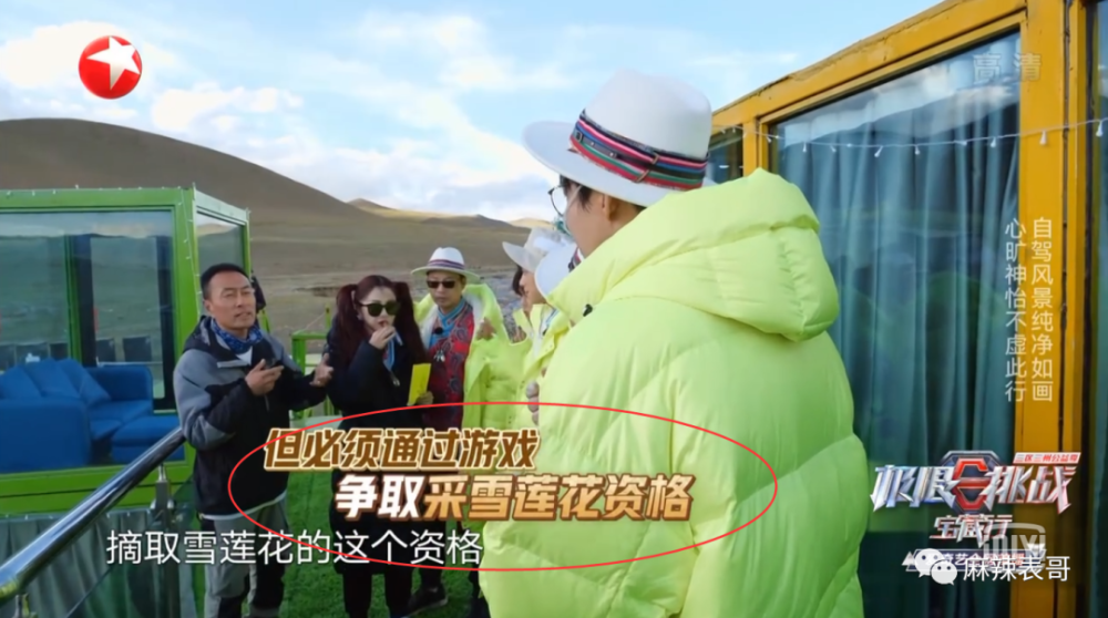 极限挑战|做错事后装怂又甩锅，你们这算是什么呢？