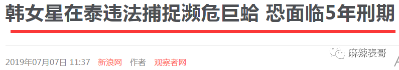 极限挑战|做错事后装怂又甩锅，你们这算是什么呢？