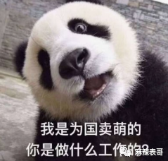 极限挑战|做错事后装怂又甩锅，你们这算是什么呢？