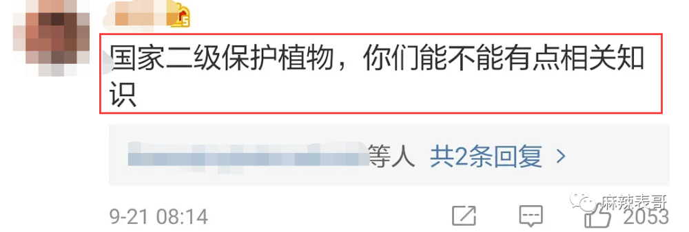 极限挑战|做错事后装怂又甩锅，你们这算是什么呢？