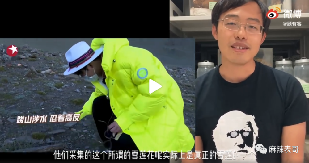 极限挑战|做错事后装怂又甩锅，你们这算是什么呢？