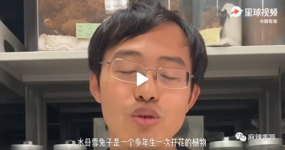 极限挑战|做错事后装怂又甩锅，你们这算是什么呢？