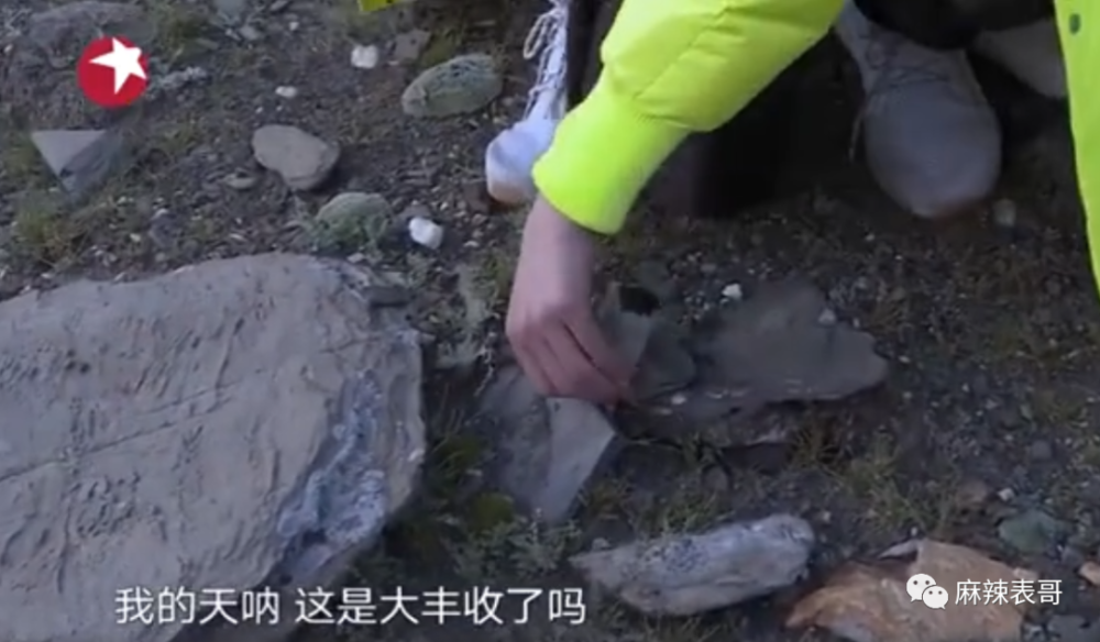 极限挑战|做错事后装怂又甩锅，你们这算是什么呢？
