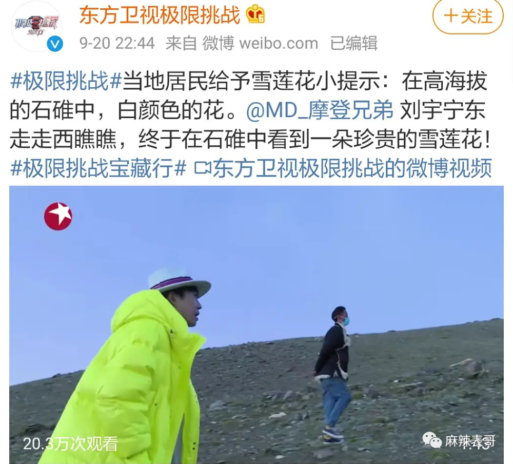 极限挑战|做错事后装怂又甩锅，你们这算是什么呢？