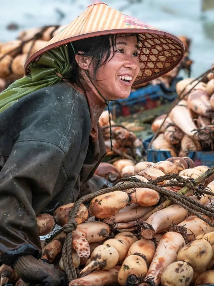 中国农民丰收节致敬每一位辛勤的耕耘者