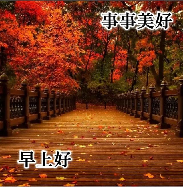 11月6日深秋漂亮早上好图片动态表情大全,最美风景早上好美图大全