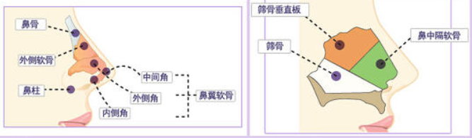 欧阳娜娜|什么叫惨？同一个妈，欧阳娜娜少男杀手，姐姐怎么长成了陈汉典！