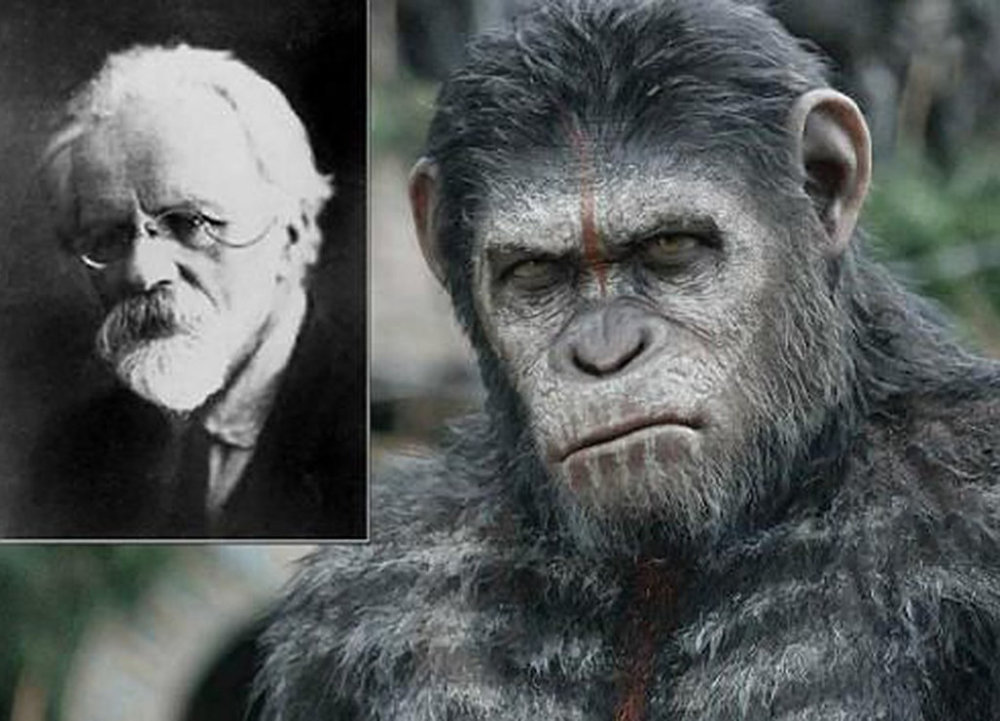 黑猩猩|人类和黑猩猩有生殖隔离吗？苏联科学家找来5名女性，结果怎样？