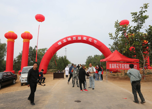 武乡县蟠龙镇举办首届菊花丰收节