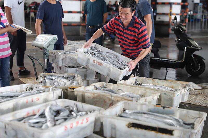 超市里的成段冻带鱼,为啥比整条带鱼便宜很多?看完你还会买吗?