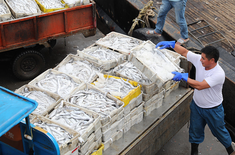 超市里的成段冻带鱼,为啥比整条带鱼便宜很多?看完你还会买吗?