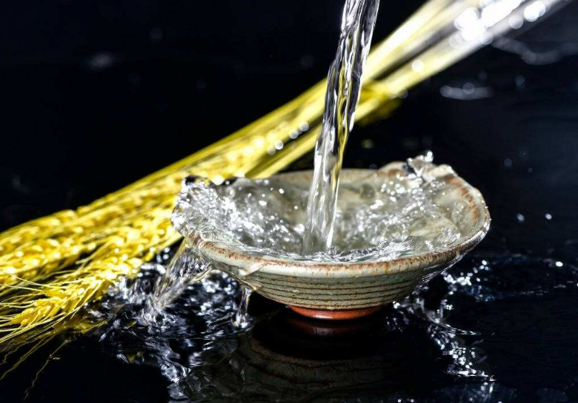 余秀华|李白的“对影成三人”是名句，余秀华写首诗调侃，网友评：有才华