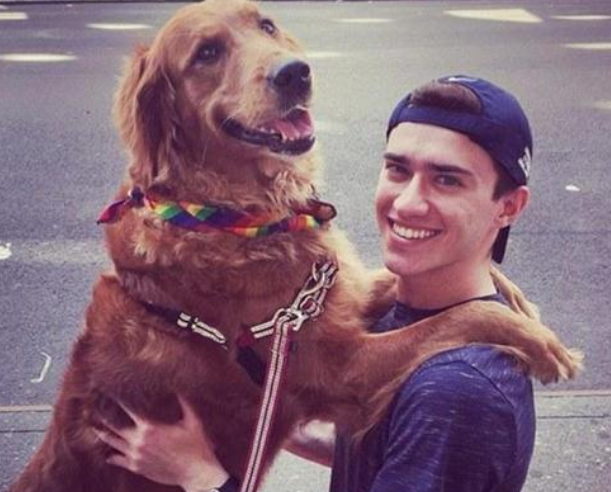 最蠢萌的6种狗光看样子就想笑你最想养哪只