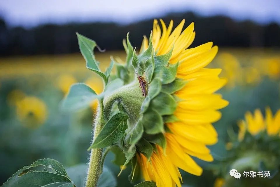 惟德之基|会享受人生的人，都有分寸感
