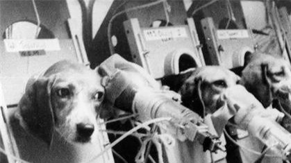 玛丽|当年烟草公司耗费3年时间，每天让狗抽100根烟证明吸烟无害，结局如何？