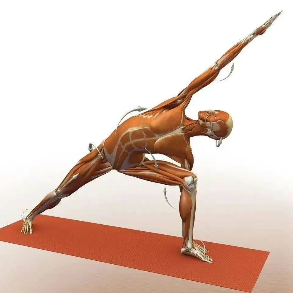 想让自己更加强壮,一定要先把这里变强!