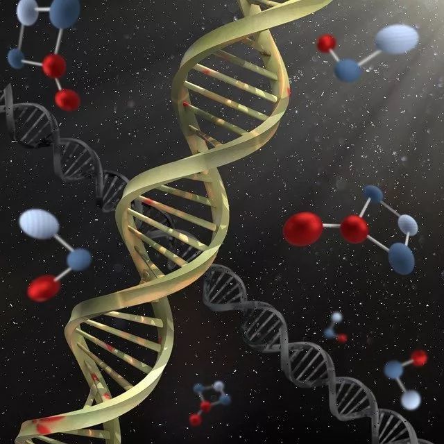 儿童视力屈光不正的原因都是什么？