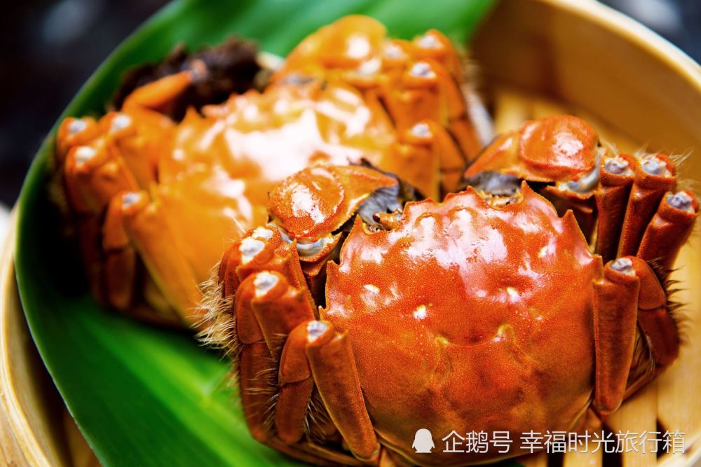 老舍|四两重的螃蟹6毛一对，老舍笔下的中秋，所有美好的回忆都回来了