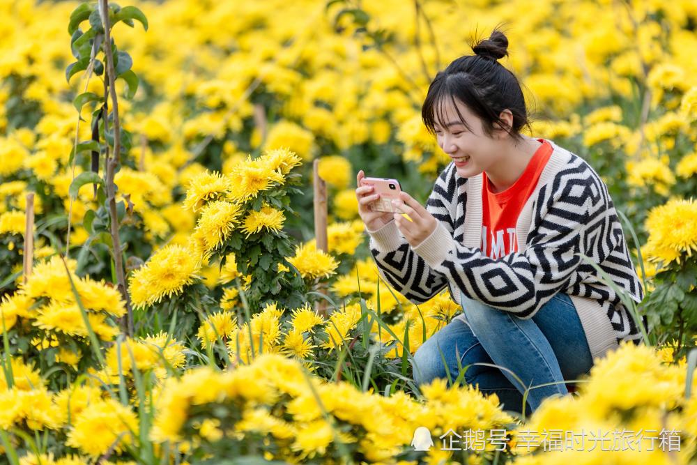 老舍|四两重的螃蟹6毛一对，老舍笔下的中秋，所有美好的回忆都回来了