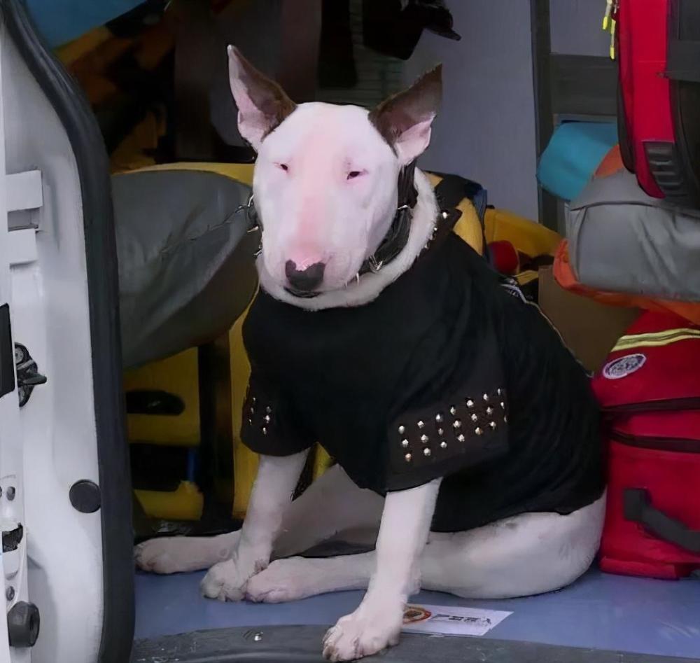 当男明星扮上"黑长直",前两个像妖孽,看到孙红雷我忍不住笑了