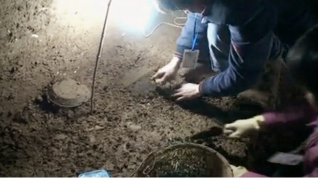 谢家桥|古墓中陪葬品众多，主棺椁却只有一滩黑色液体，至今仍不知为何物