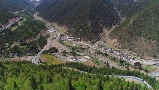 中国松茸之乡雅江