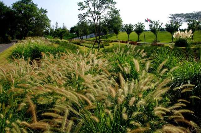 秋草 秋果 秋菜 还有食虫植物 魔都两大植物园带你赏秋景 腾讯网