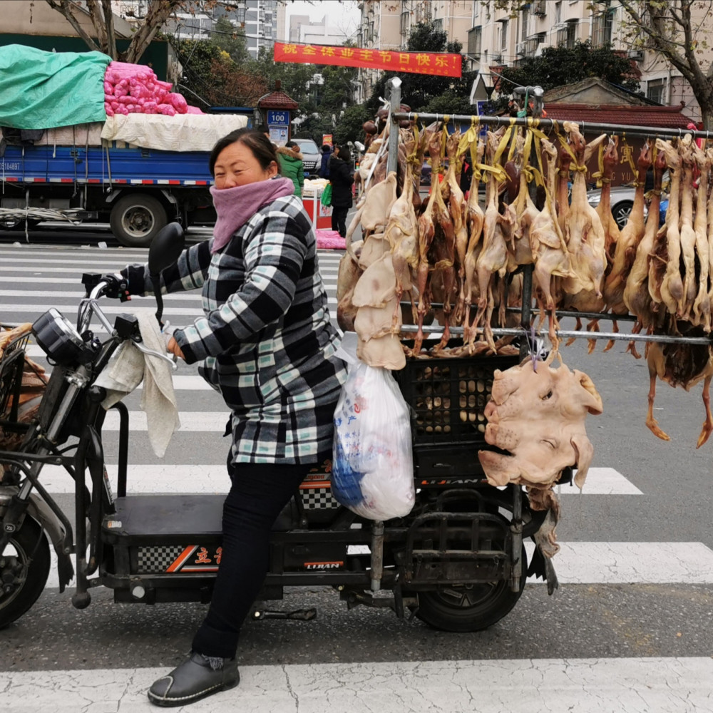 南京|北京烤鸭为何来自南京？