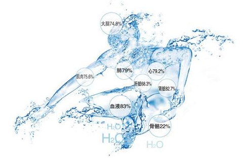 从某种意义上讲,人是地球的缩影,人体内的水占体重的比例约为三分之二