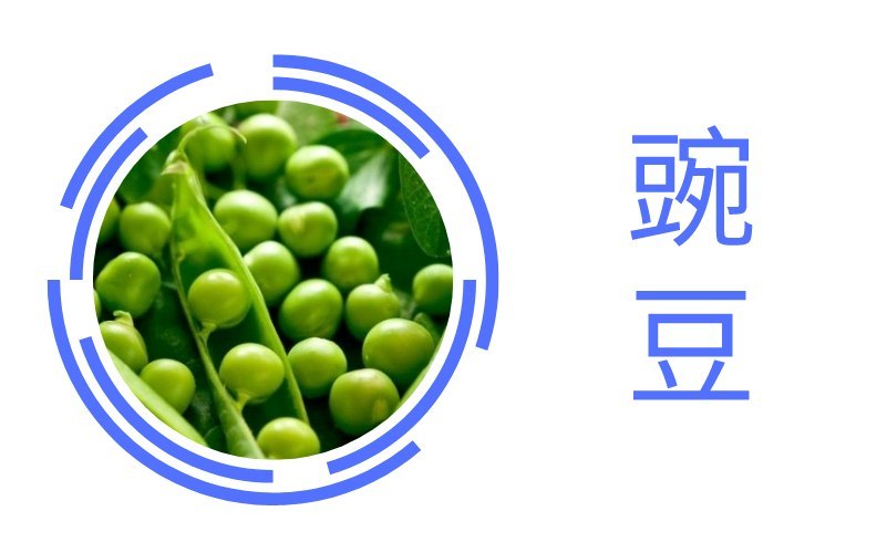 蚕豆 豌豆 红小豆 绿豆 质量标准 水分含量标准 测定方法 腾讯新闻