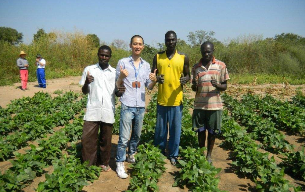非洲_军事|我国禁用产品走红非洲，当地人疑惑：这么好的东西为何中国不用？