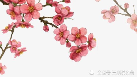 梅花|苏轼写下一首词，没有一个“梅”字，却道尽了梅花之美，惊艳世人