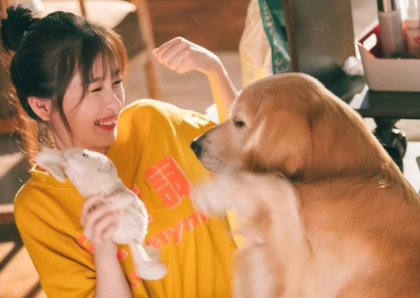 金鹰女神|金鹰女神候选名单曝光：杨紫宋茜均入围，谭松韵两部爆款优势突出