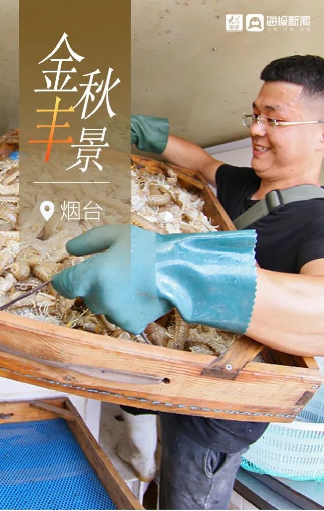 金秋|烟台金秋“丰”景图