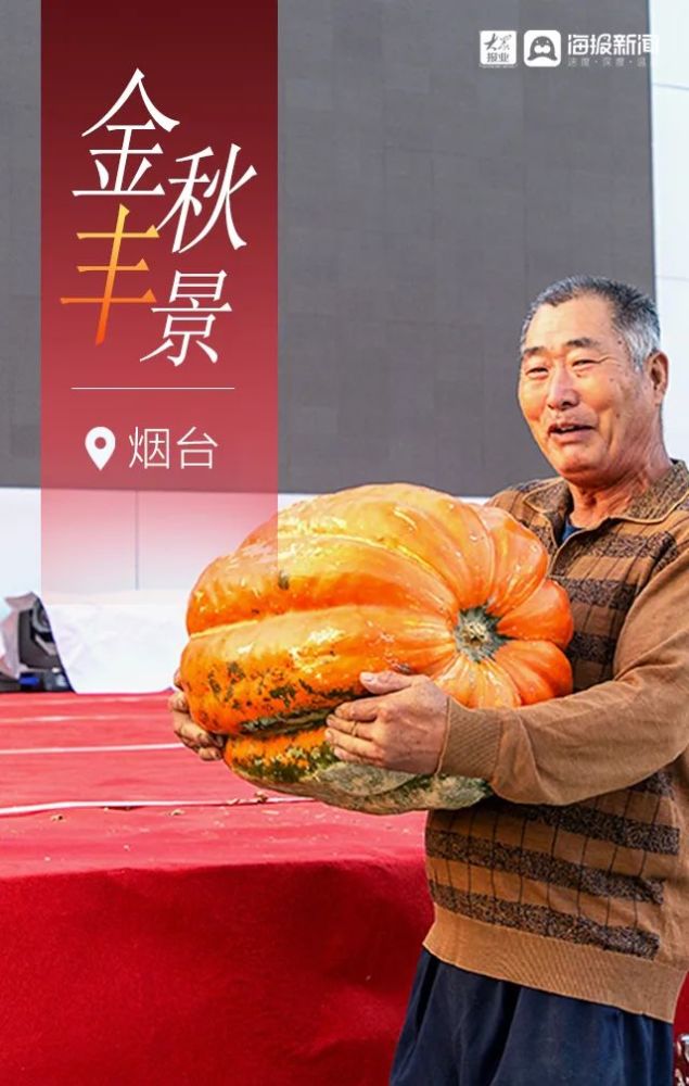 金秋|烟台金秋“丰”景图