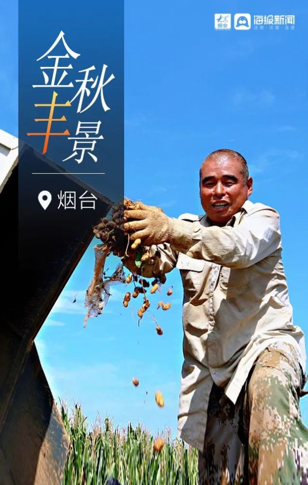 金秋|烟台金秋“丰”景图