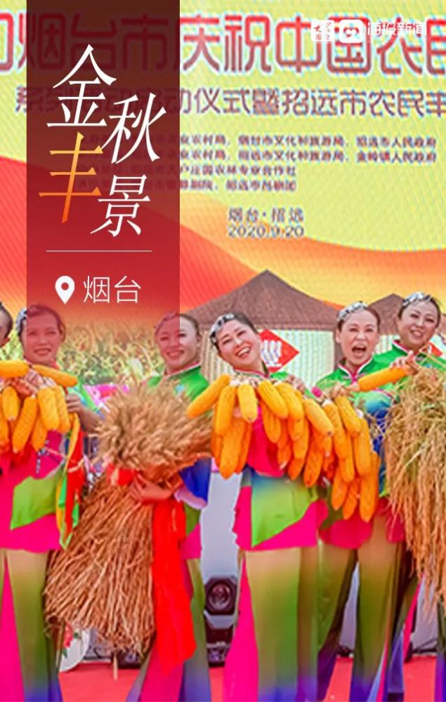 金秋|烟台金秋“丰”景图