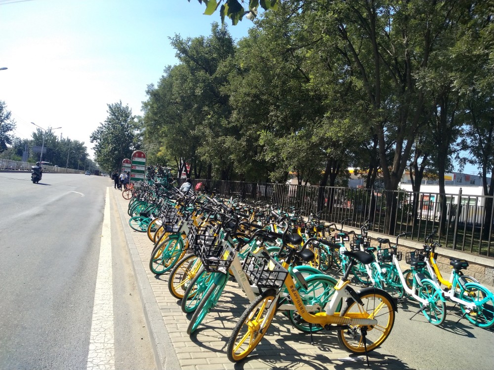 共享单车|京密路北皋公交站旁清理黄色和绿色的共享单车