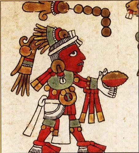 可可豆|拉美魔幻饮食史：一颗豆子，全球上瘾