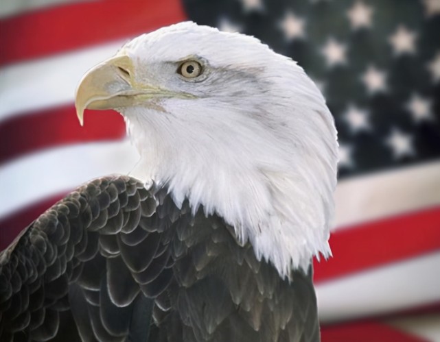 的梗在国内流行开来后,很多人都认为俄罗斯/前苏联是世界最好战的国家