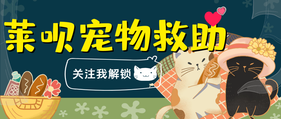 狂犬病毒|狂犬病一旦发作100％死亡？华农大学科学家研究表明：不存在了