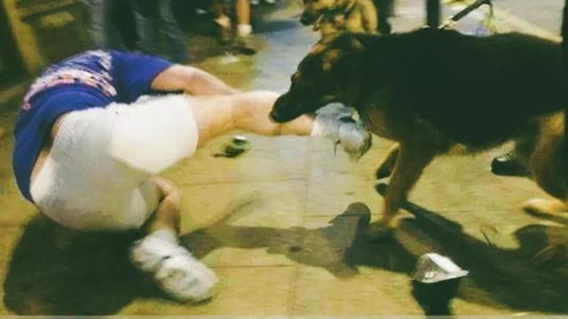 狂犬病毒|狂犬病一旦发作100％死亡？华农大学科学家研究表明：不存在了