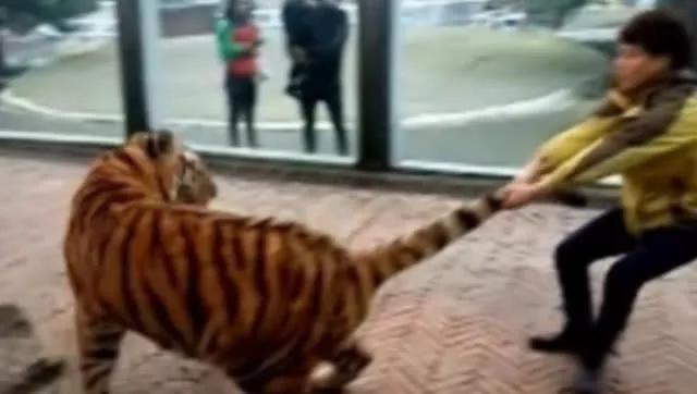 狂犬病毒|狂犬病一旦发作100％死亡？华农大学科学家研究表明：不存在了