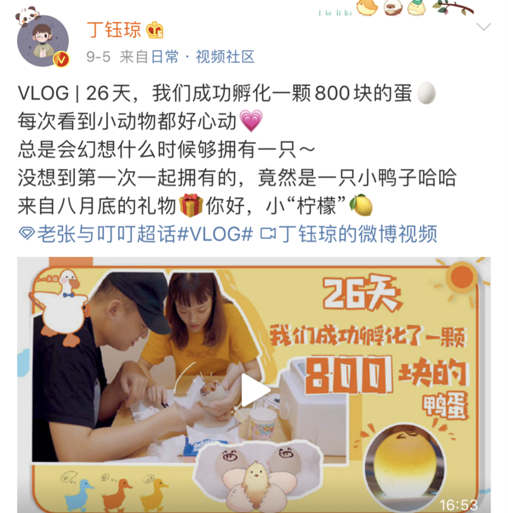 丁钰琼|四年的感情被质疑是假的？