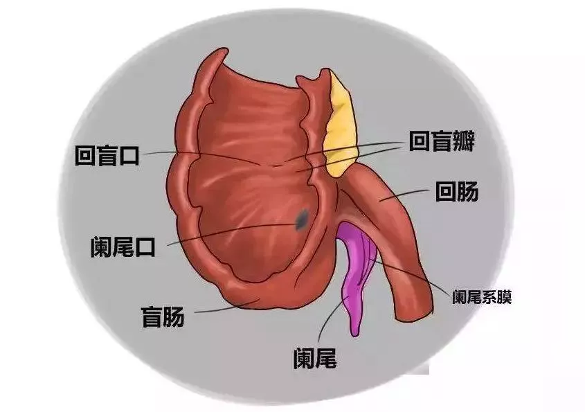 急性阑尾炎|吴彦祖旧病复发住院：两次患阑尾炎，我应该去买彩票！