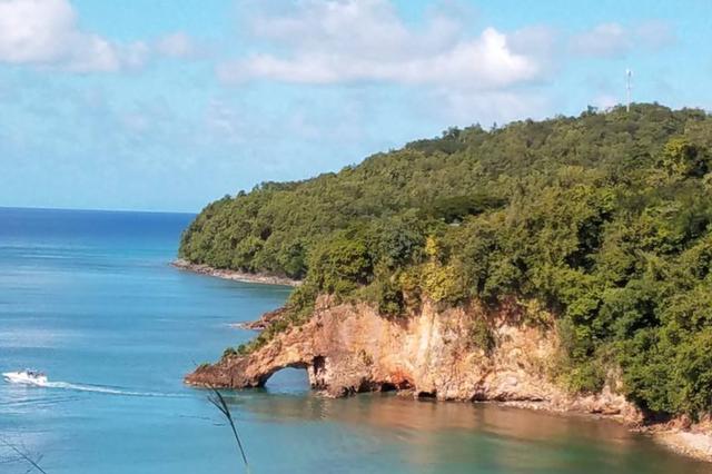布恩迪亚|《百年孤独》：孤独的是一切都将归于虚无，所有努力终化为泡影