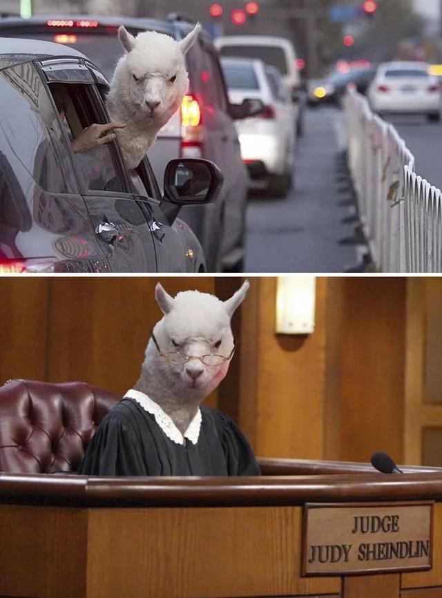 说真的千万不要让沙雕网友帮你p图哈哈哈不然会被笑死了